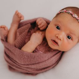 DSC_8529-Edit